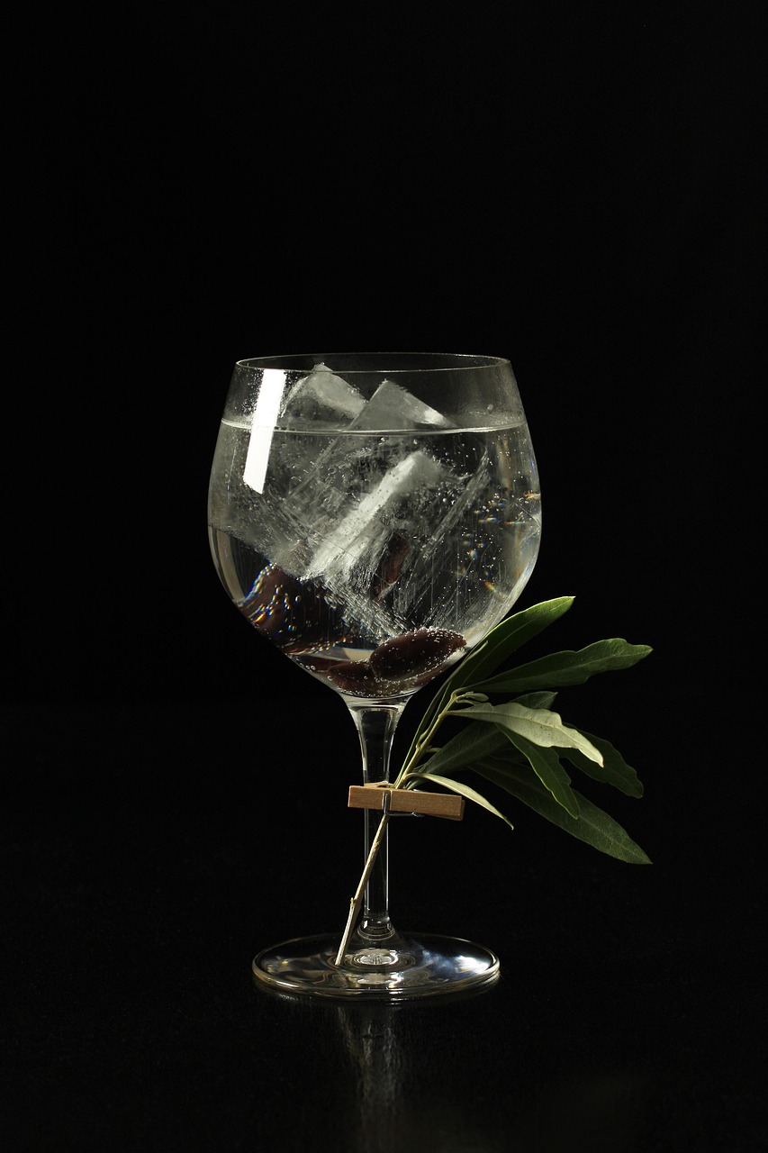 The Art of Drawing Readers In: Your attractive post title goes here gin and tonic, cocktail, gin, alcohol, spirit, alcoholic, drink, tonic, cocktails, liquor, olives, gin, gin, gin, gin, gin